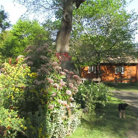 Menon Casa de Férias *